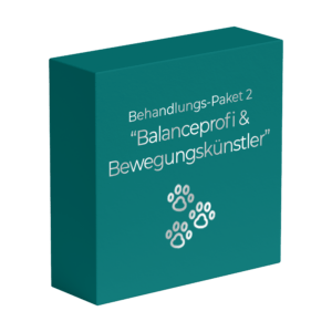 "Balanceprofi & Bewegungskünstler" für den Hund