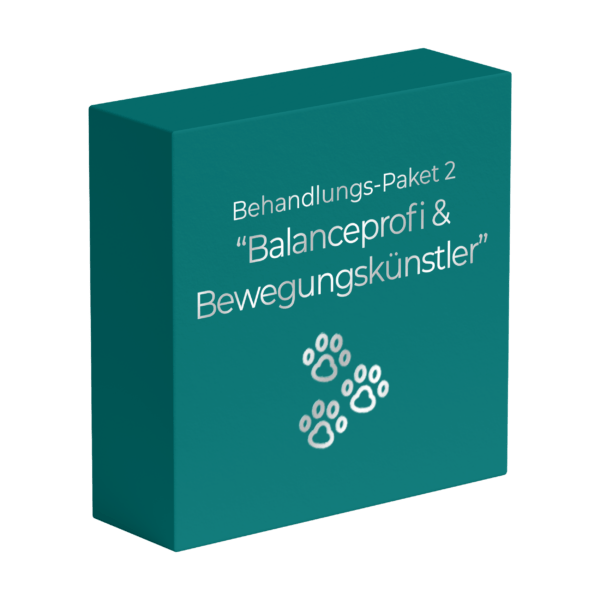 "Balanceprofi & Bewegungskünstler" für den Hund